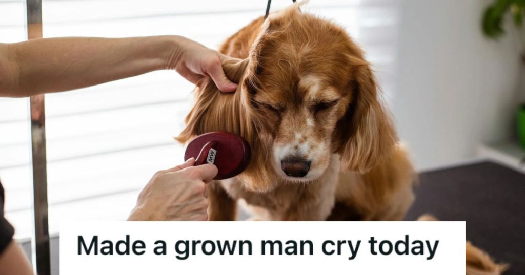 Person's hands grooming a brown dog with long and shiny hair