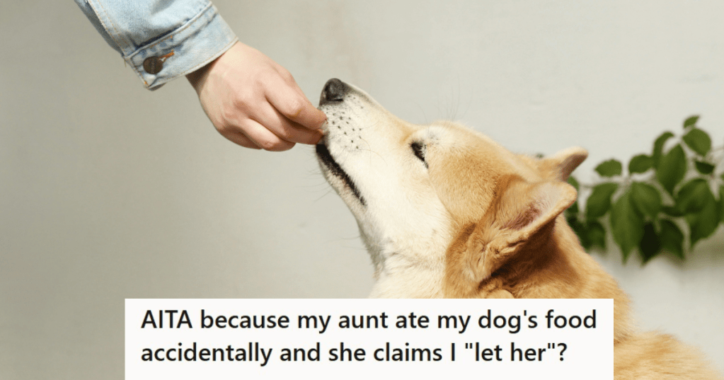 Hand feeding a dog